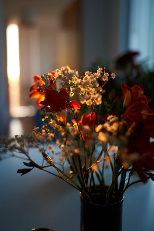 Orange and white flowers illuminated by warm sunlight.