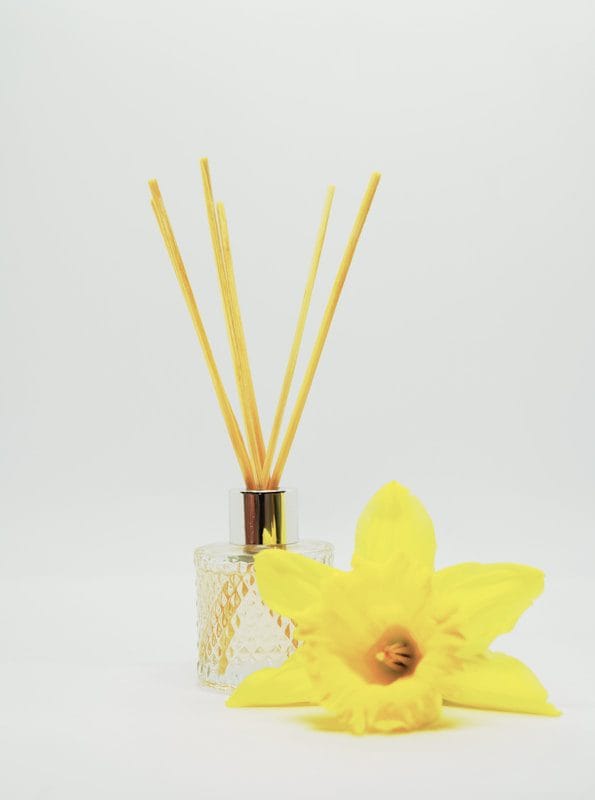 a yellow daffodil flower and reeds in a glass vase